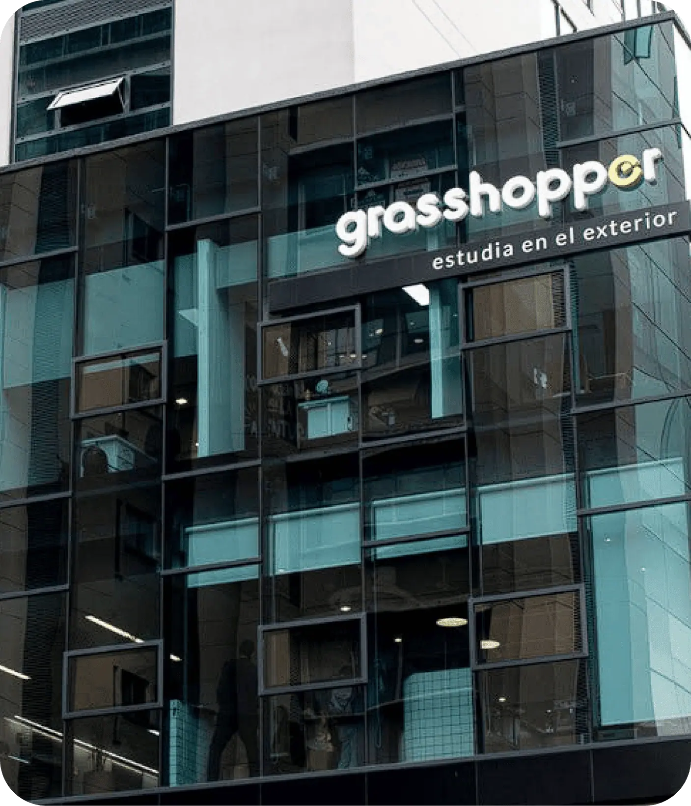 Facahada del edificio de grasshopper