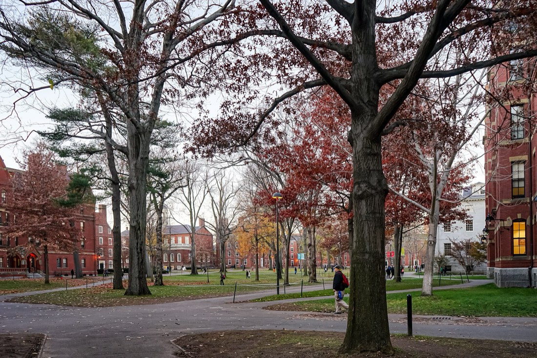 Harvard Yard en otoño, con árboles rojizos y edificios de ladrillo del campus de Harvard en Cambridge