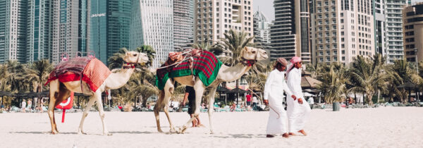 Estudiantes en Dubai viviendo la experiencia como nativo árabe con Grasshopper